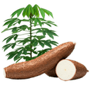 Andere landwirtschaftliche Produkte