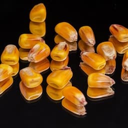 让AI分析您的照片