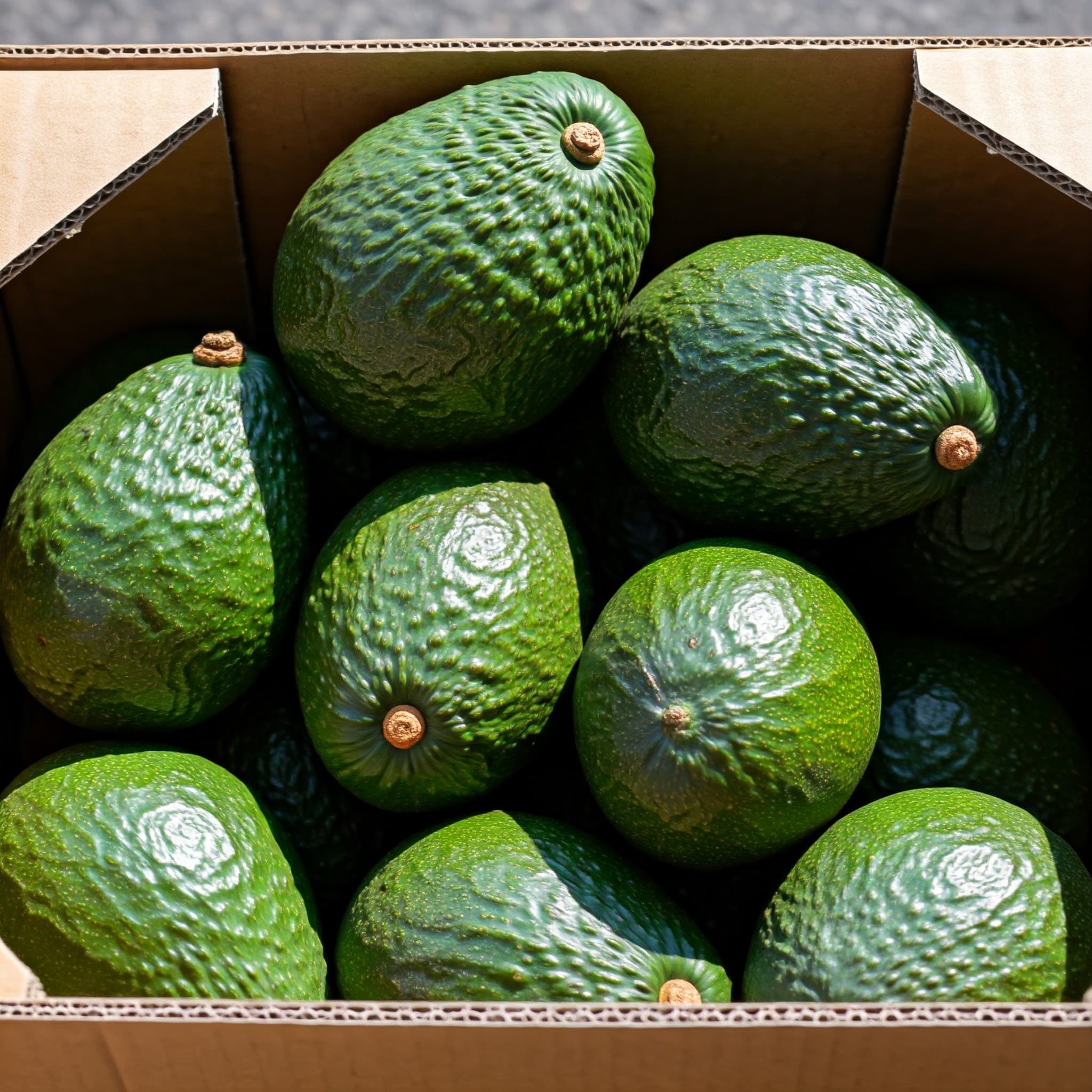 Fresh Avocados (AI-generated Image)