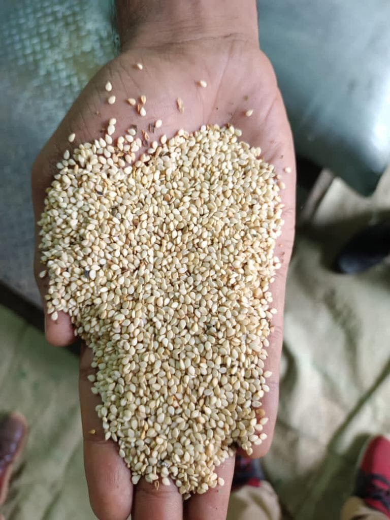 Brown - Mixed Sesame (credit: Deko Group / Adalidda / Public domain)