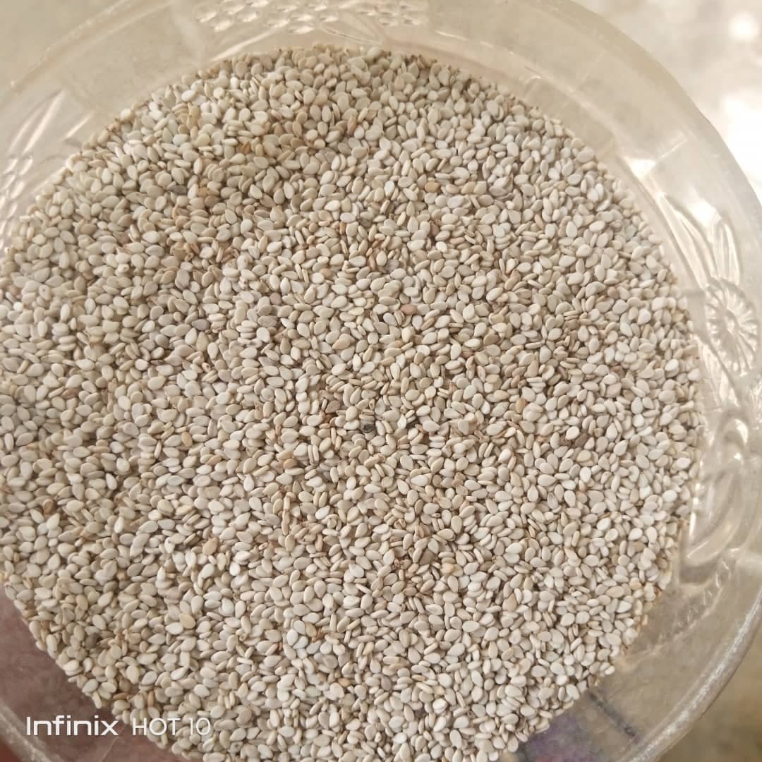 White Sesame (credit: Deko Group / Adalidda / Public domain)