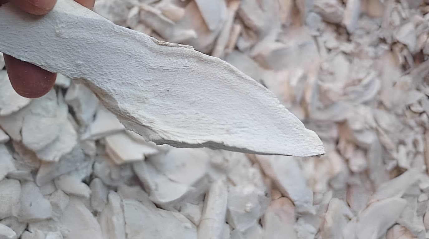 Deko Group China Trip for Bulk Agri Supply Deals