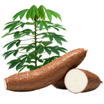 Produk Pertanian Lainnya